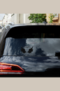 Violent Little Thing Window Decal
